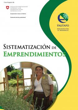 Sistematización de la experiencia con los emprendimientos