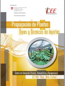 Propagación de Plantas: Tipos y Técnicas de Injertos - CETHA “Hno. Nilo Cullen”