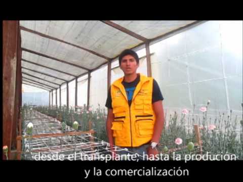 Embedded thumbnail for Formacion técnica en flores de corte en Yotala (Chuquisaca)