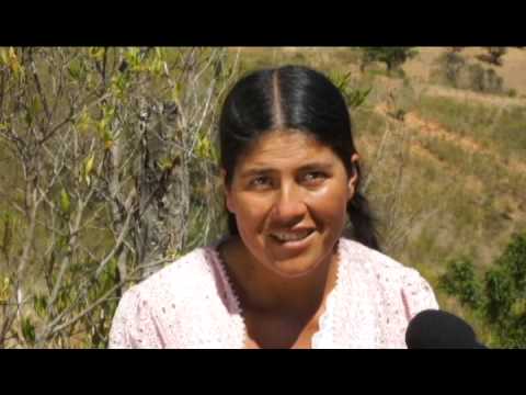 Embedded thumbnail for Rosario Melendrez, experta en el cultivo de duranos (Omereque, Cochabamba)